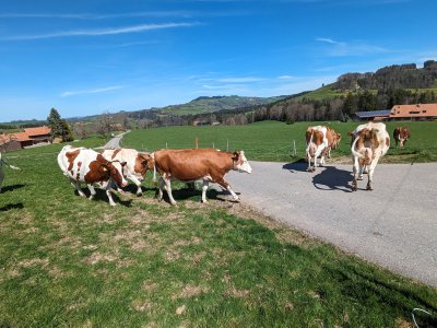 Weniger ist manchmal mehr