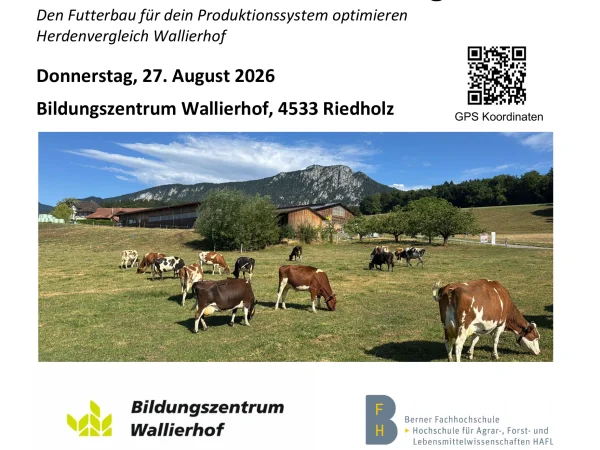 Flyer Seite 1