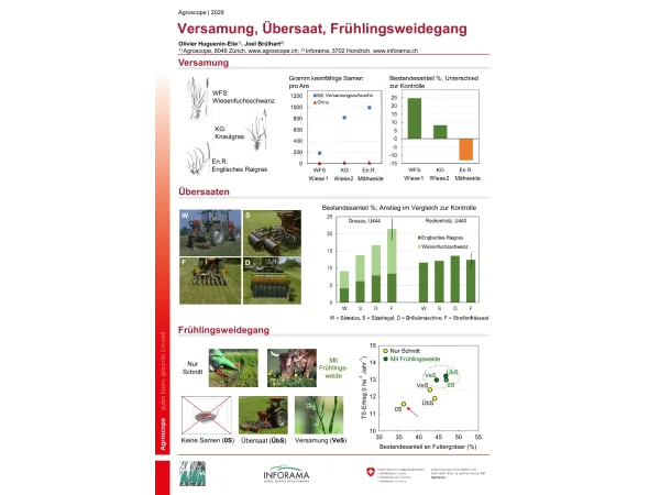 Posten 2: Versamung
