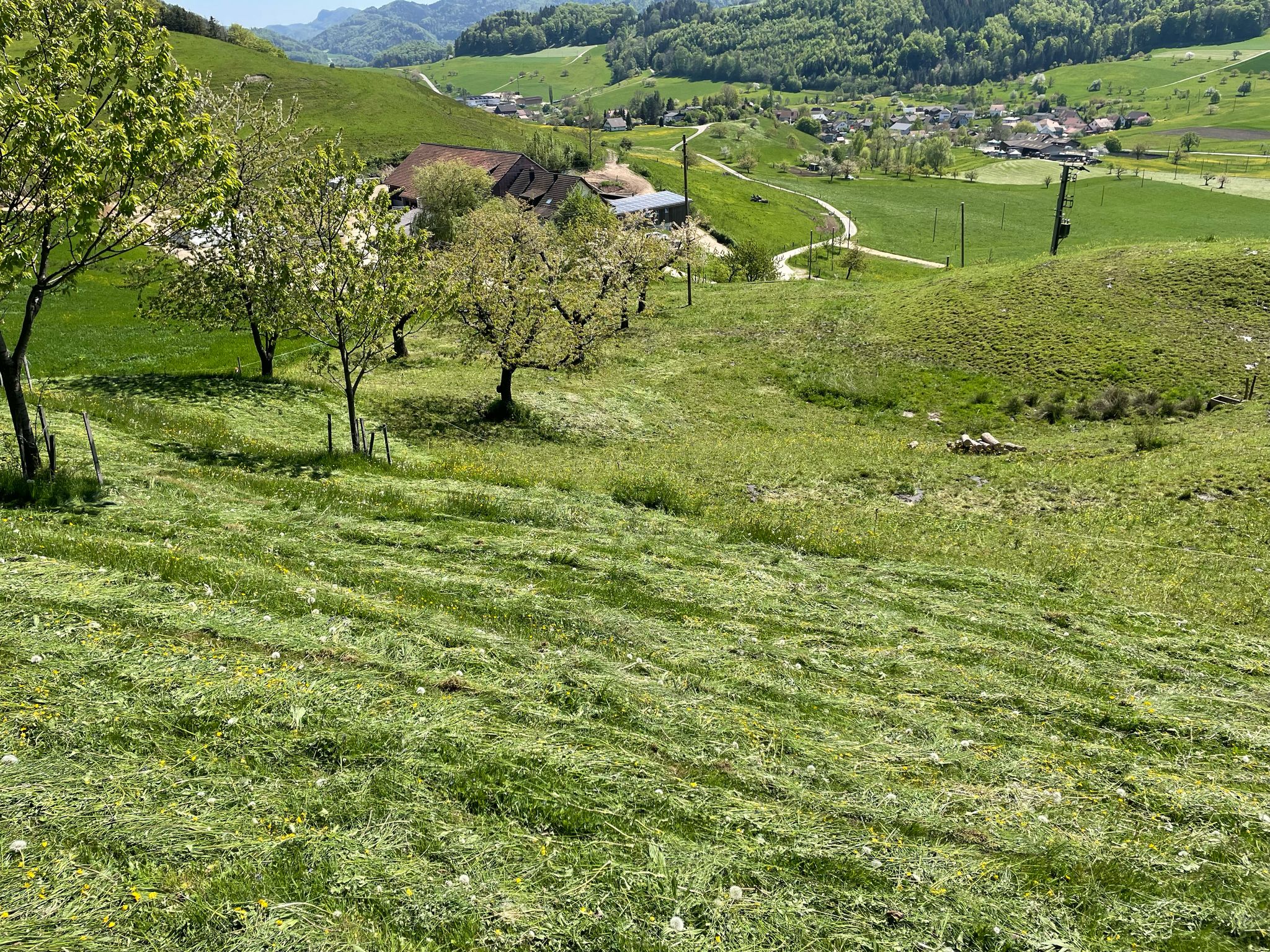 Woche 18 (28.04.-06.05.2025)